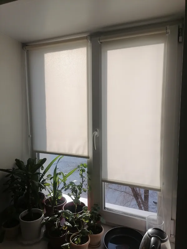 Роллета ШАНТУНГ УЮТ 50*175 Белый