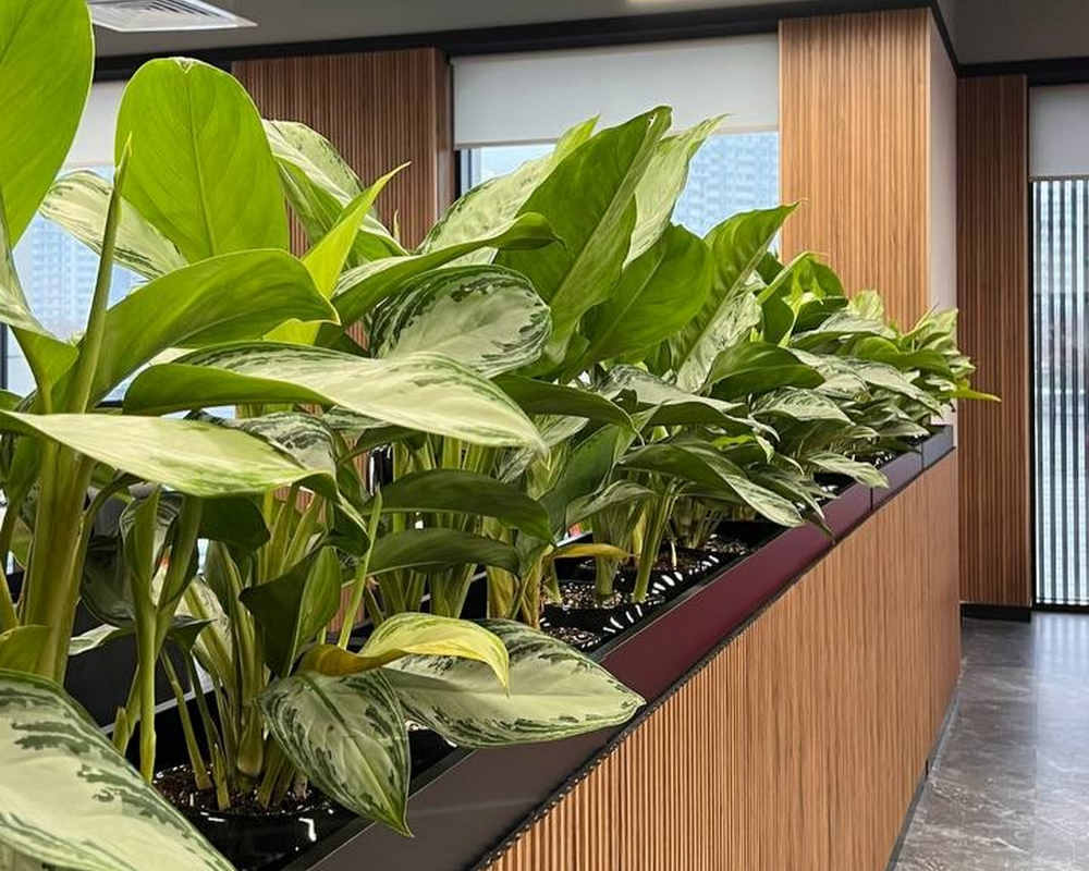 Панель МДФ ACUPAN 61.08.122507.93 трубки 12х122х2760 мм Дуб Слик